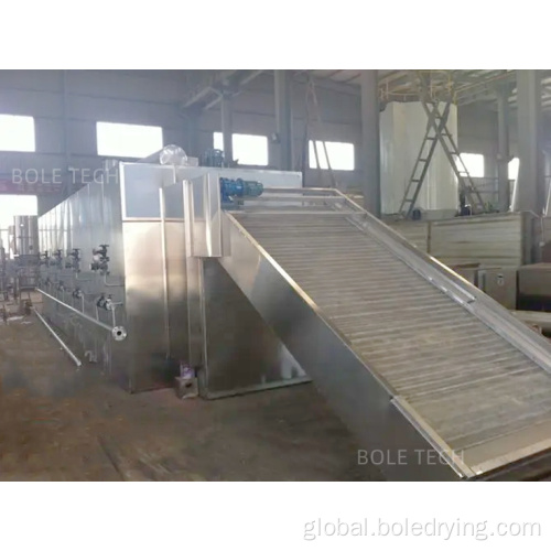 Conveyor Belt Dryer Vegetable mesh belt dryer Food conveyor belt dryer Manufactory